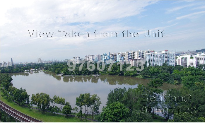 The Lakeshore thumbnail photo